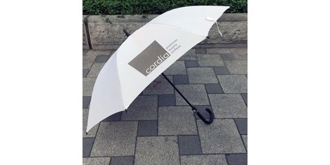 广州牡丹王伞业 专业定制广告雨伞直柄与广告雨伞的卓越选择