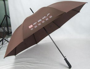 温州蓝雨伞业 精品雨伞高清图片展示